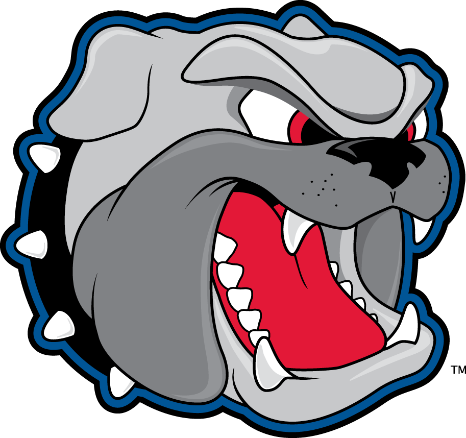North Carolina Asheville Bulldogs 1998-Pres Secondary Logo diy iron on heat transfer